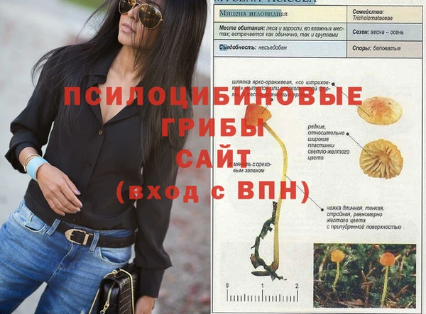 дурь Абинск