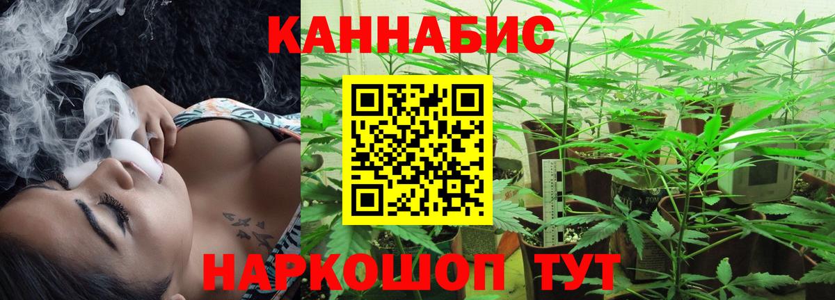 Бошки марихуана Bruce Banner Владикавказ